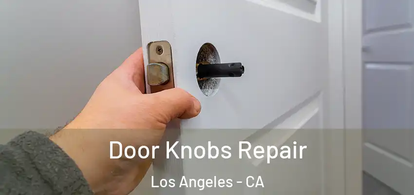  Door Knobs Repair Los Angeles - CA