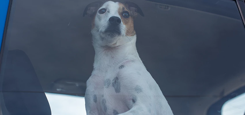 Car Lockout Solutions in Los Angeles, California