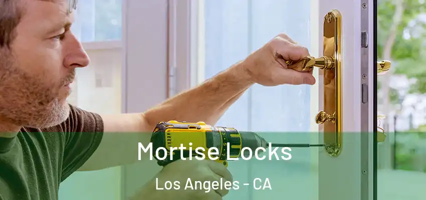  Mortise Locks Los Angeles - CA